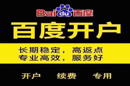 百度推广平台助力企业快速成长的营销策略案例